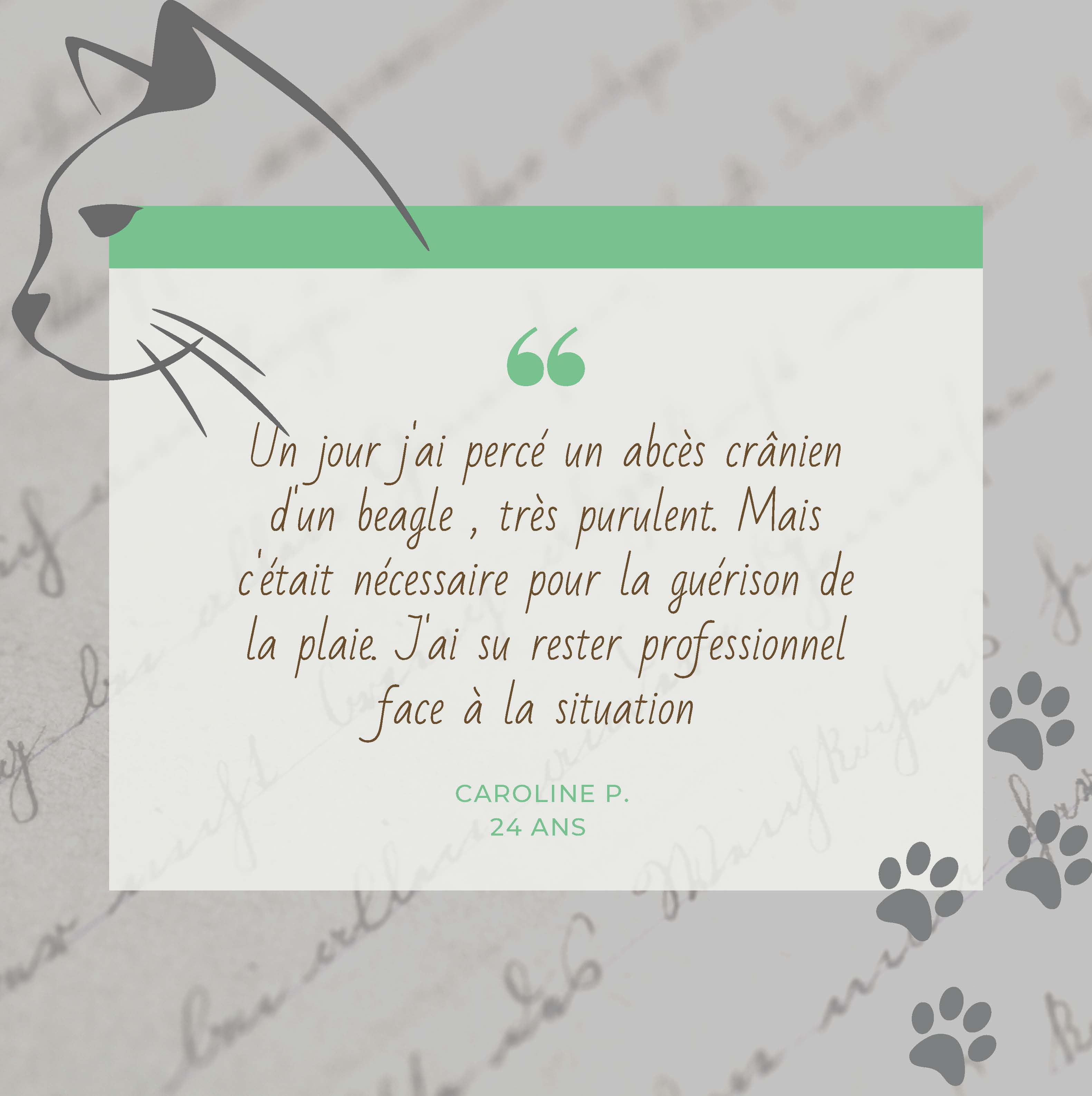 experience assistante veterinaire