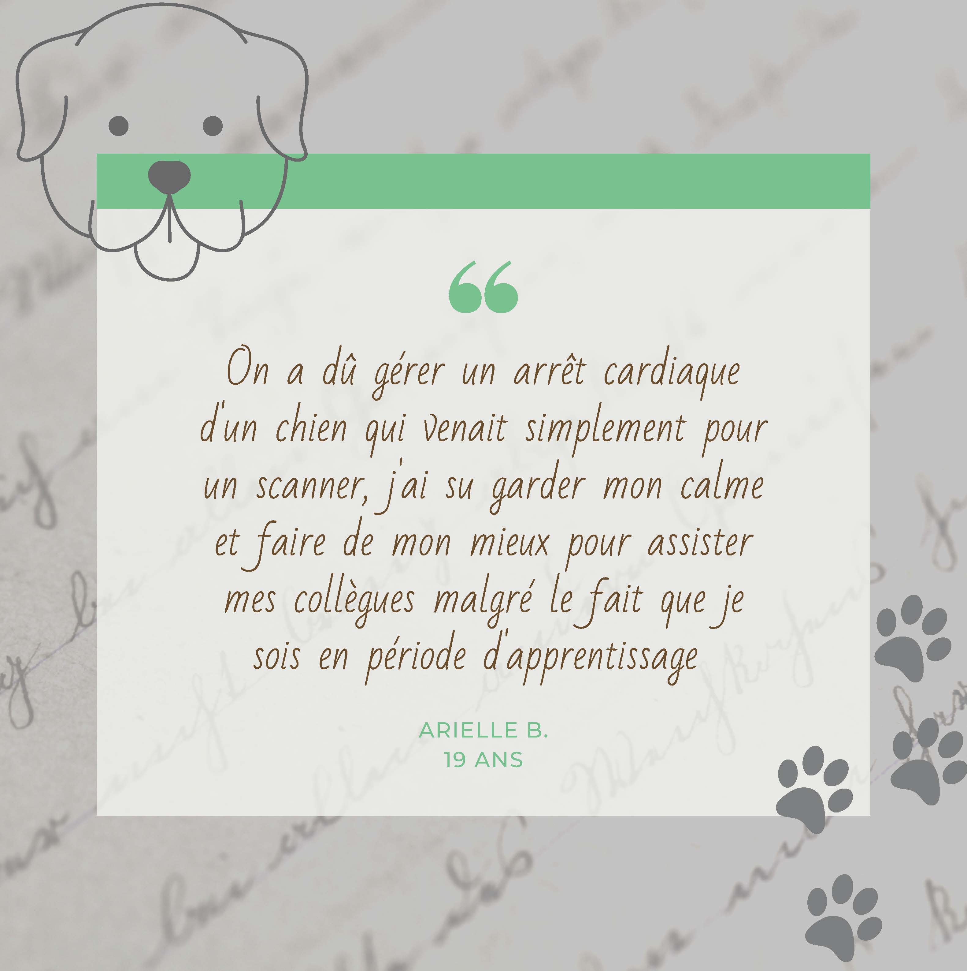 assistante veterinaire Rouen