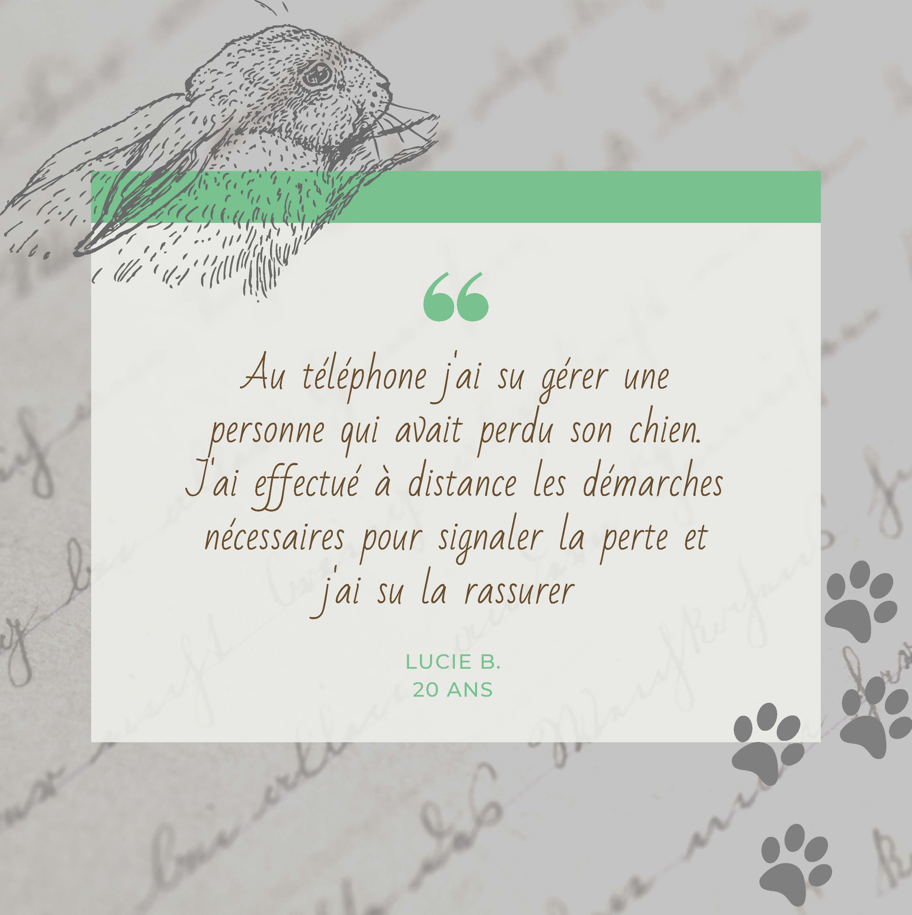 assistante veterinaire