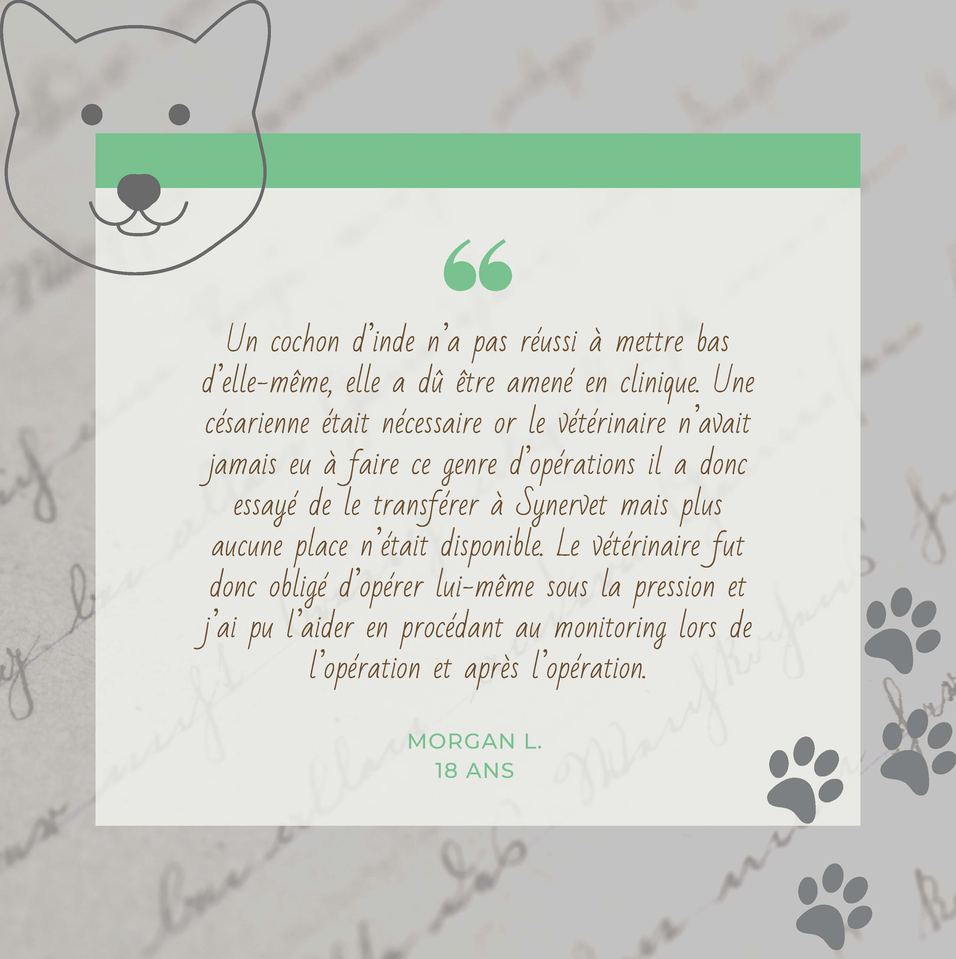 Expérience Assistant vétérinaire 76